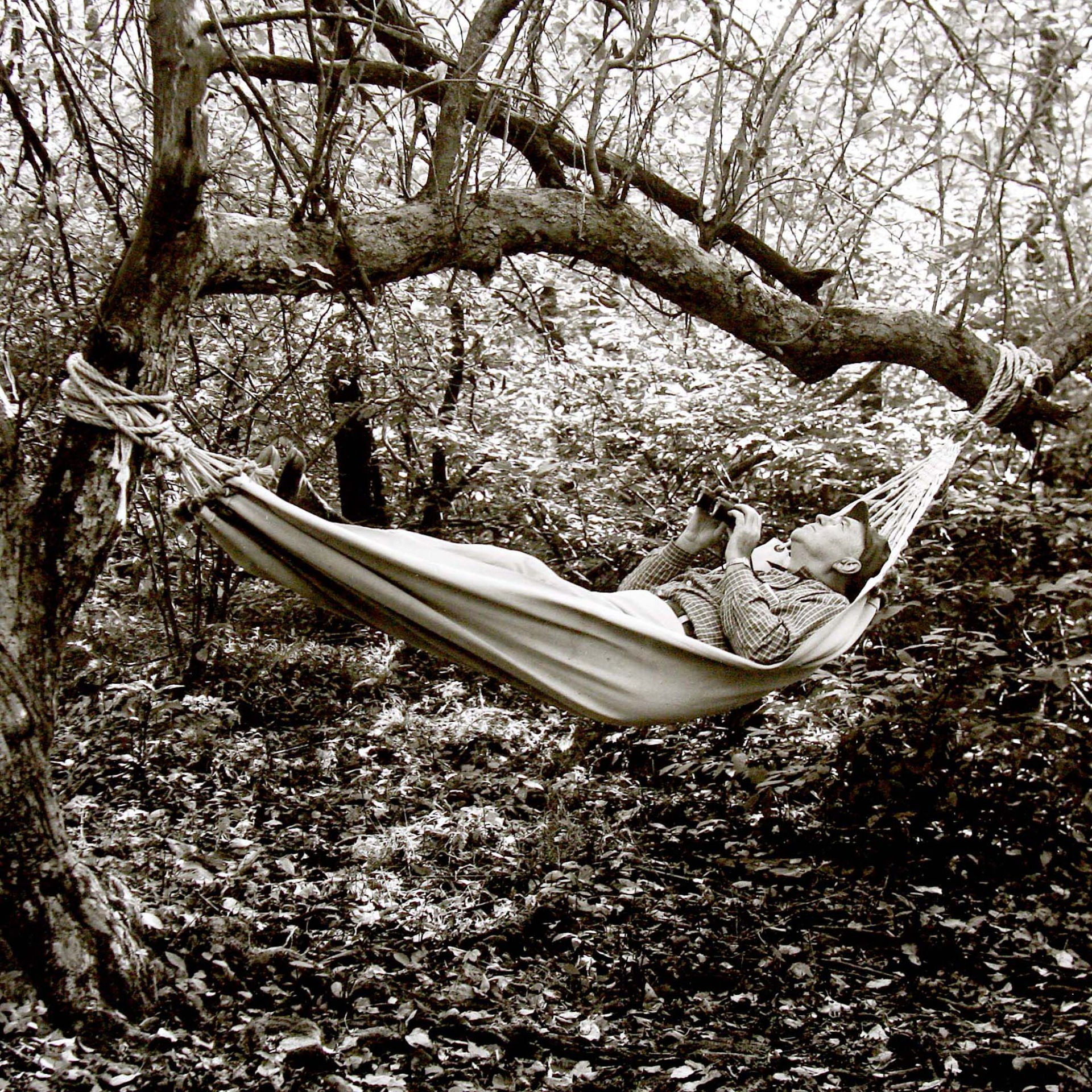 Man in a hammock